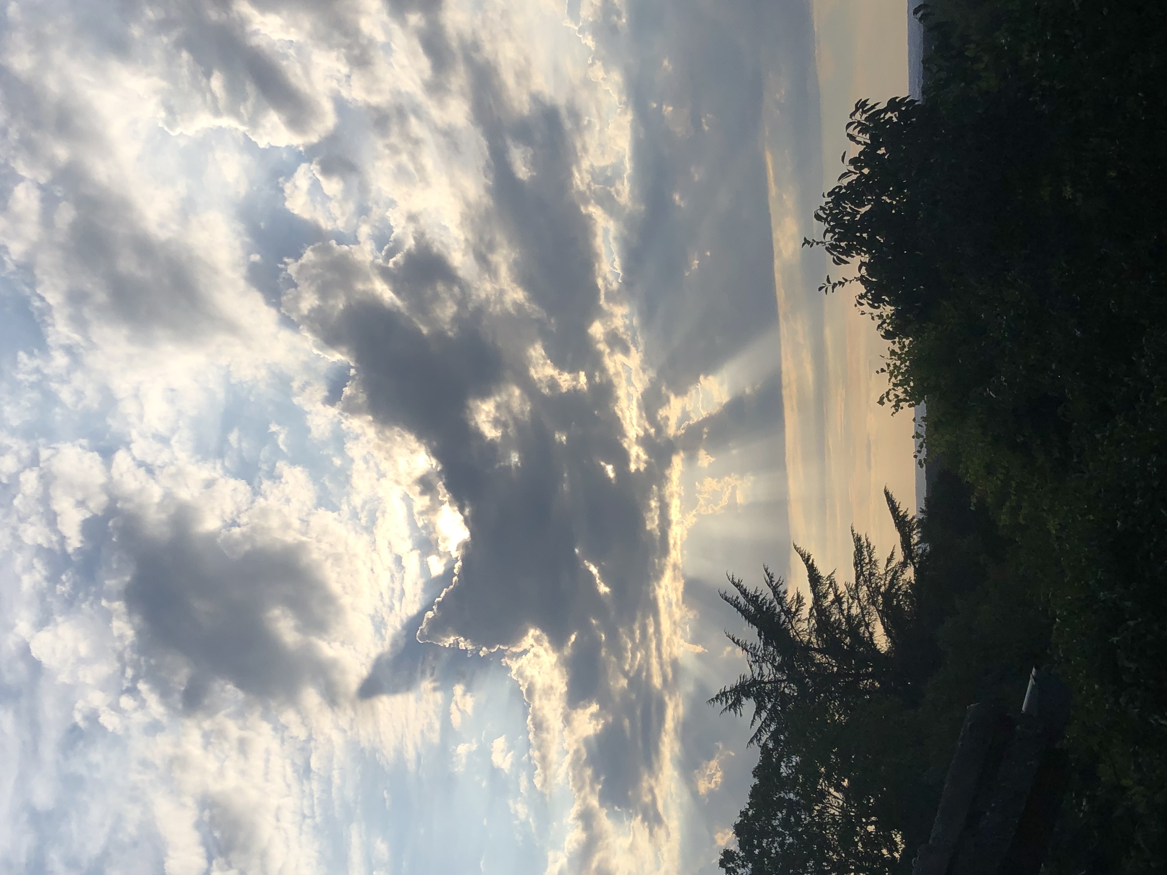 Rayons célestes 